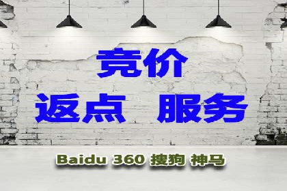百度竞价广告的创意与执行：成功案例剖析